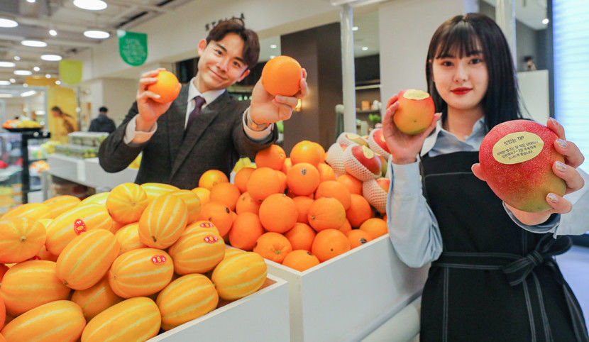 [포토뉴스] 현대백, 과일 6종 할인