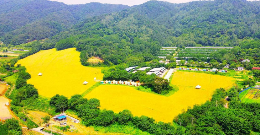 도시청년시골파견제 청년창업기업 하늘목장 인기몰이…연매출 7억 돌파