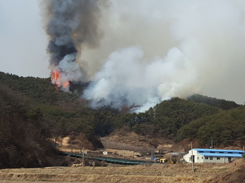 안동시 도산면 산불, 발생 3시간 반 만에 주불 잡혀