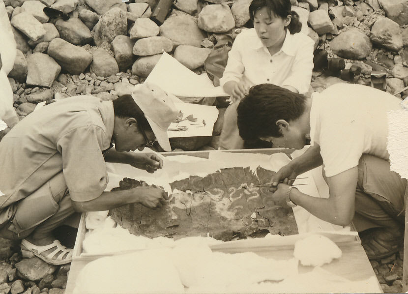 천마총 발굴 50년 기념사업 1973, 천마를 깨우다