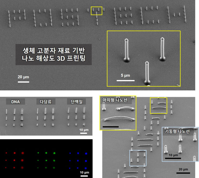 포스텍, 세계 최초 DNA·단백질 3D 프린팅 기술 개발…생체 고분자 패턴 제작 가능