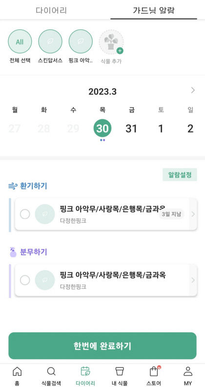 [폰맛탱] 초보 식집사·식물 살인마에게 필수 앱…키우는 환경에 맞는 알림 가능