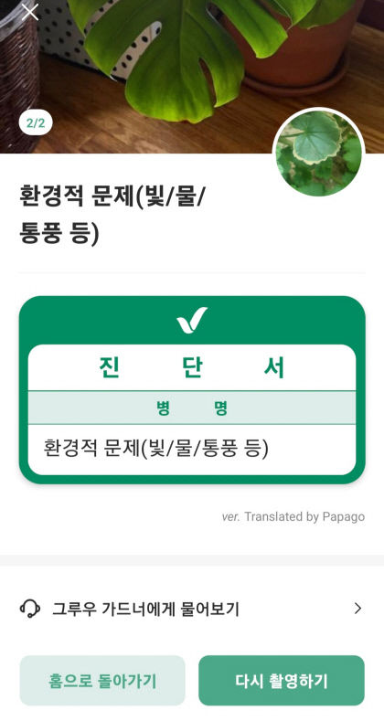 [폰맛탱] 초보 식집사·식물 살인마에게 필수 앱…키우는 환경에 맞는 알림 가능