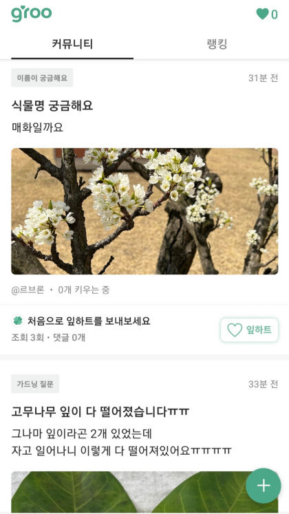[폰맛탱] 초보 식집사·식물 살인마에게 필수 앱…키우는 환경에 맞는 알림 가능