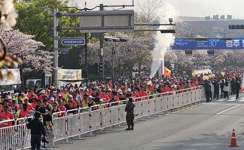 전국 최고의 경주벚꽃마라톤대회…1만 명 마라토너 벚꽃길을 달리다
