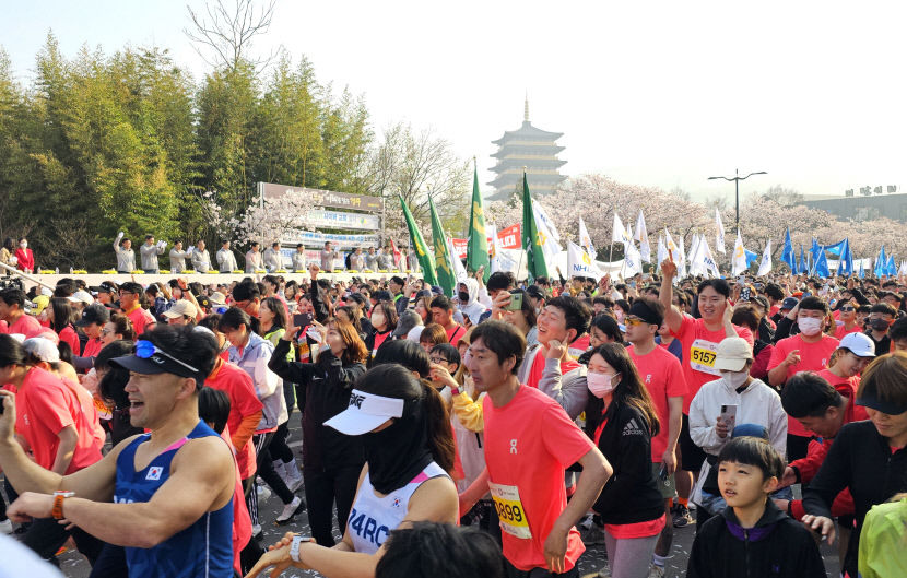 전국 최고의 경주벚꽃마라톤대회…1만 명 마라토너 벚꽃길을 달리다