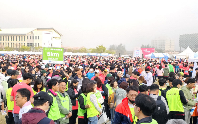 전국 최고의 경주벚꽃마라톤대회…1만 명 마라토너 벚꽃길을 달리다