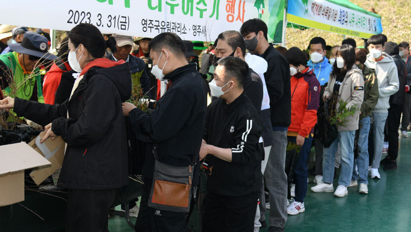 영주시·영주국유림관리소, 식목일 맞아 나무 나눠주기