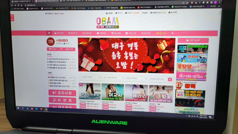 회원 수 18만 명 넘는 성매매 알선사이트 운영 일당, 7개월 경찰 추적 끝에 전원 검거