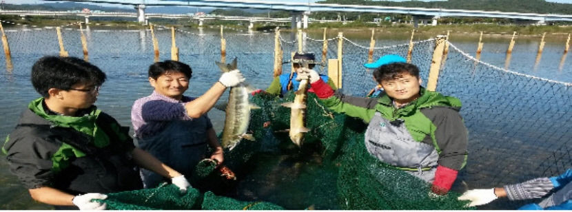 연어 부산물로 기능성 화장품 만든다 경북도 내수면 어·패류 산업화 속도