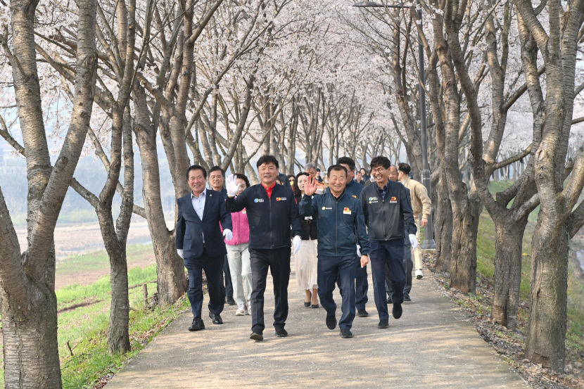 청송군, 광덕리 인도교 개통기념식 및 벚꽃길 걷기행사 대성황