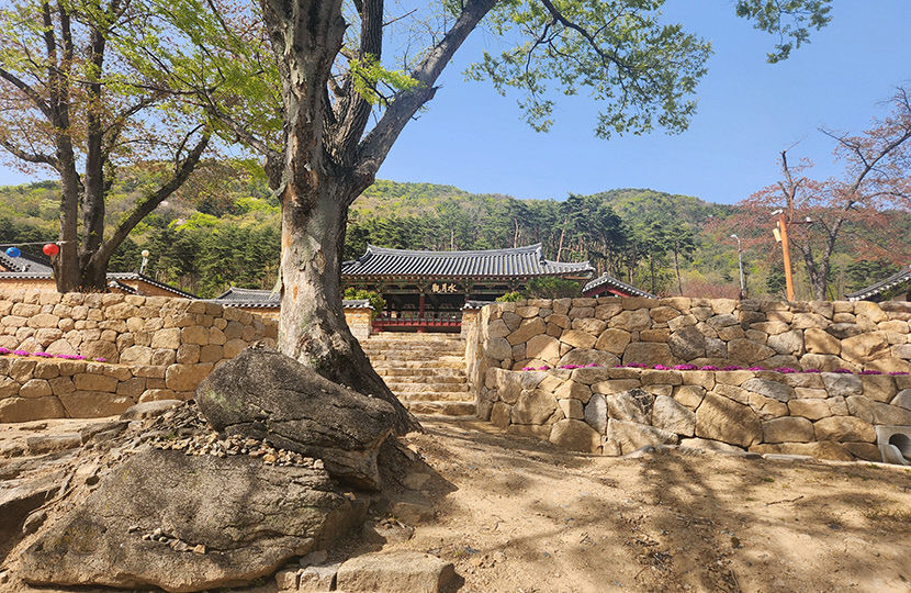 [경산 가볼만한 곳] 경산 하양 천년고찰 환성사…대웅전 가는 길 사색의 시간도