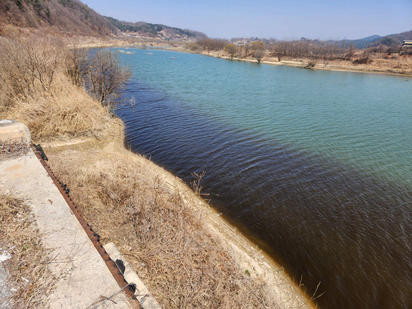 영주댐 상류 철거 안한 제방… 수질 오염 부추겼다