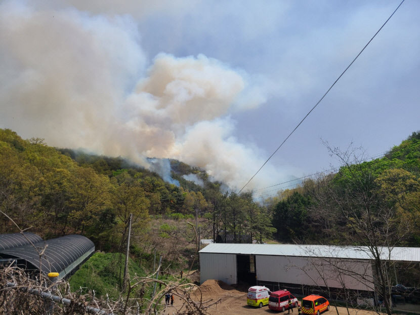 경북 안동 일직면 산불, 발생 1시간 반만에 주불 진화