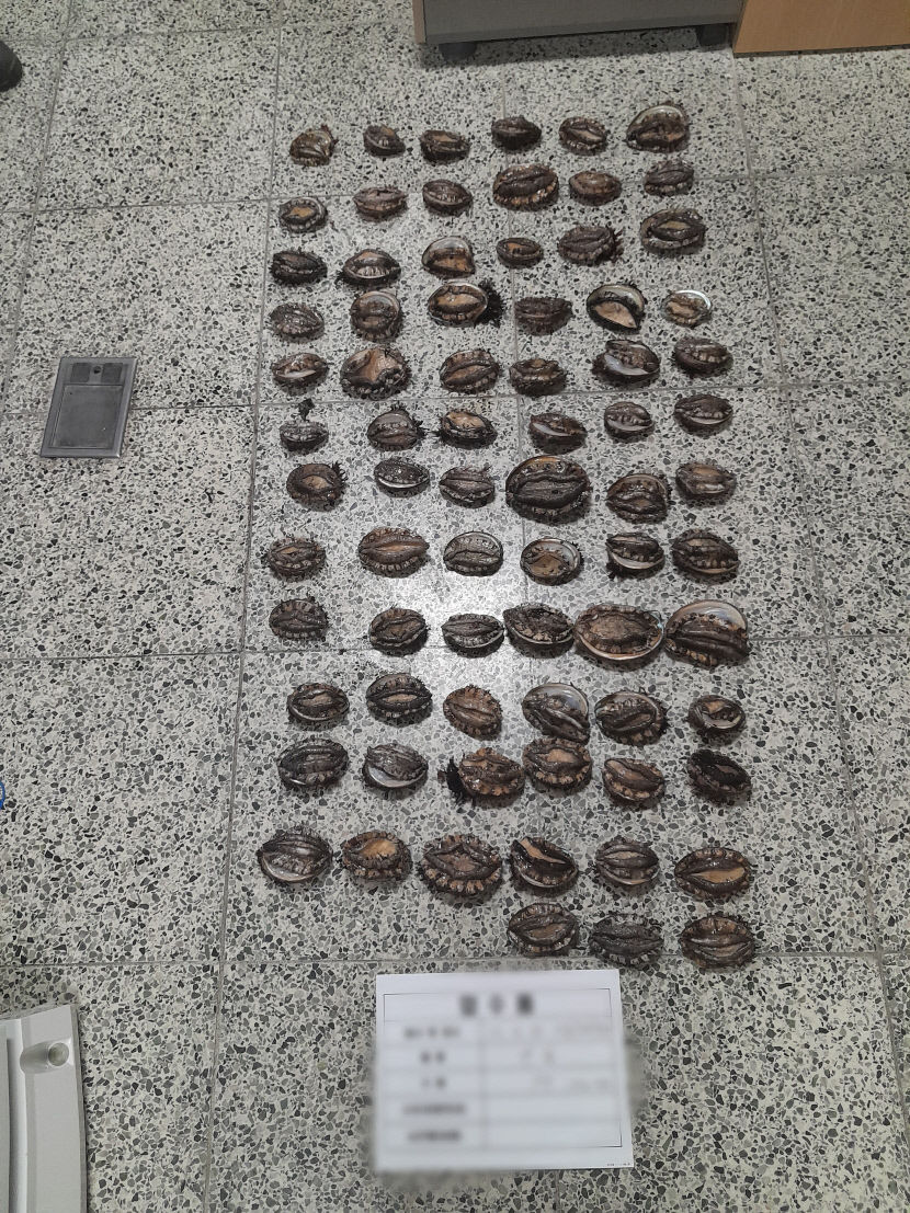 포항·경주 해상서 불법 해루질 기승…포항해경, 특별단속 14건 적발