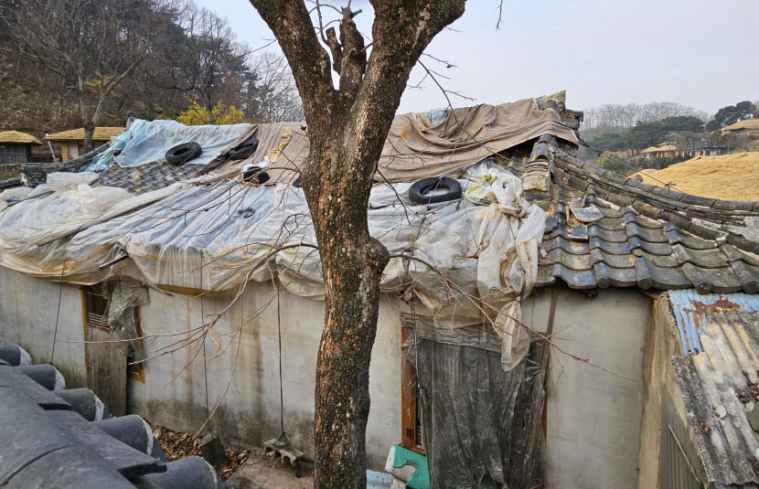 [단독] 경주 양동마을, 유네스코 세계문화유산 가치 훼손 위기