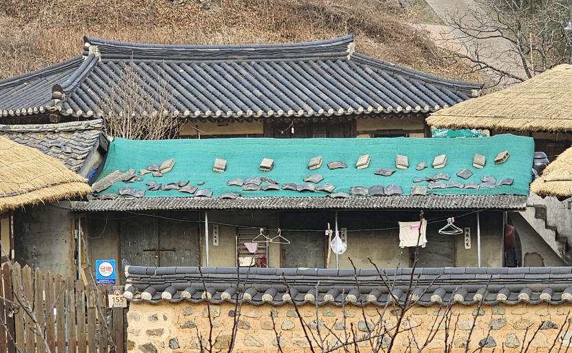 [단독] 경주 양동마을, 유네스코 세계문화유산 가치 훼손 위기