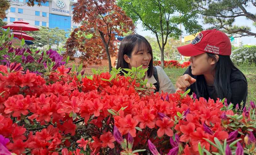 구미대 캠퍼스, 연산홍 만개