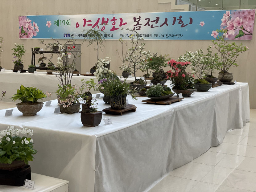 경북 구미시, 전국생활체육대축전 기간에 우리꽃야생화 봄전시회