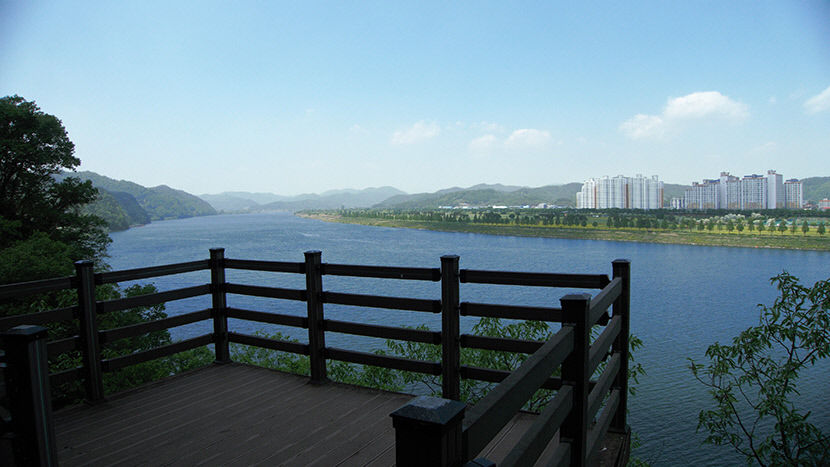 [주말&여행] 경남 창녕 남지의 낙동강, 아직 늦지 않았다…끝없는 끝없는 듯한 유채꽃밭