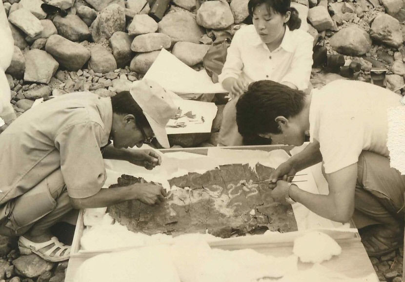 천마총 발굴 50년 역사, 1973년 천마를 깨우다…4일 비전 선포