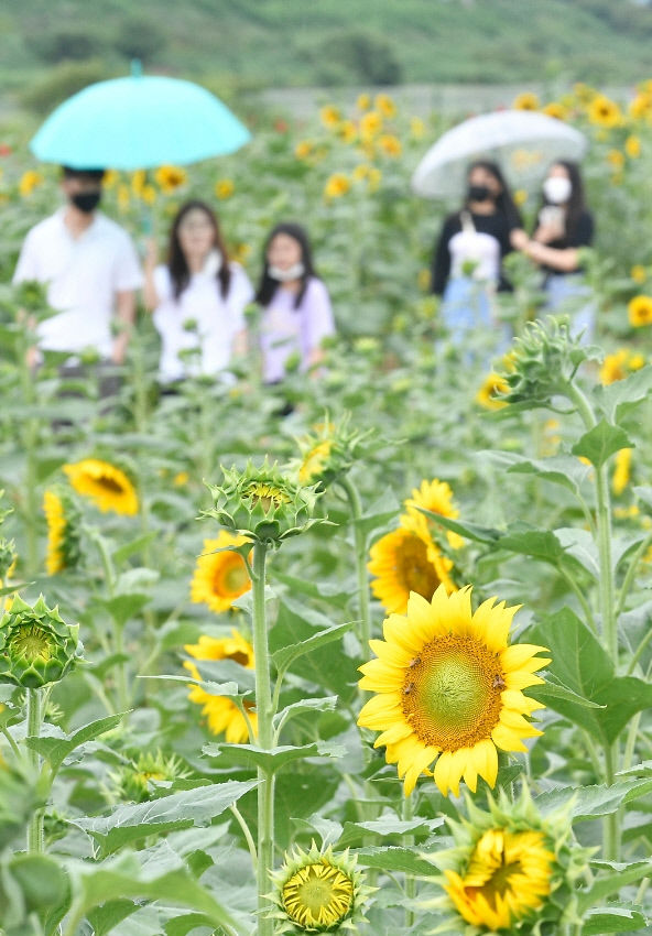 기다렸던 어린이날인데…비 소식에 야외활동 주춤