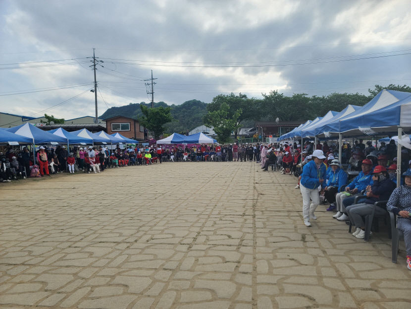 제2회 문경새재배 전국파크골프대회 명품대회로 성황리 마무리