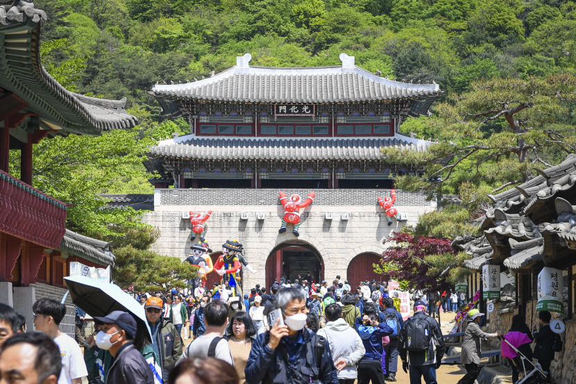 문경찻사발축제 24만여명 다녀가며 150억원 경제효과 남기고 폐막