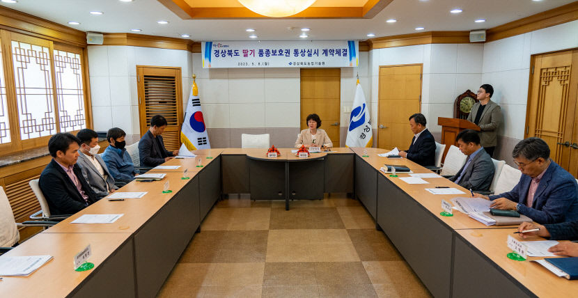 딸기 수출 효자 알타킹·비타킹 농가 보급 확대…경북도, 육묘업체와 3년간 통상 계약 체결