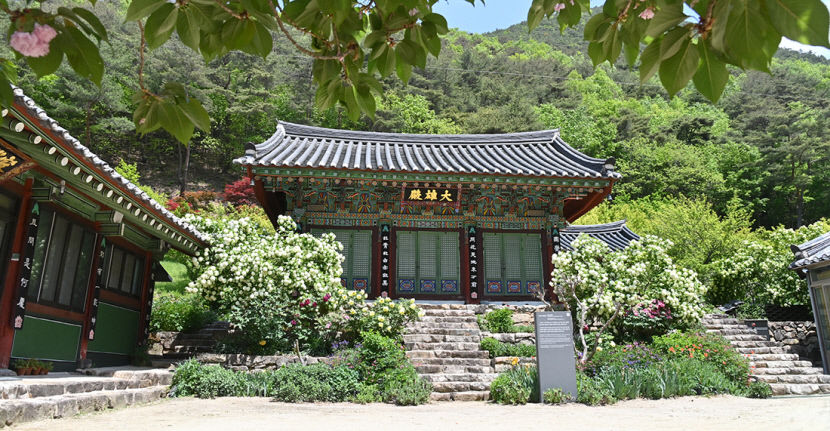 [부처님 오신날] 청송 수정사, 수려한 경관·맑은 정기 품은 천년고찰