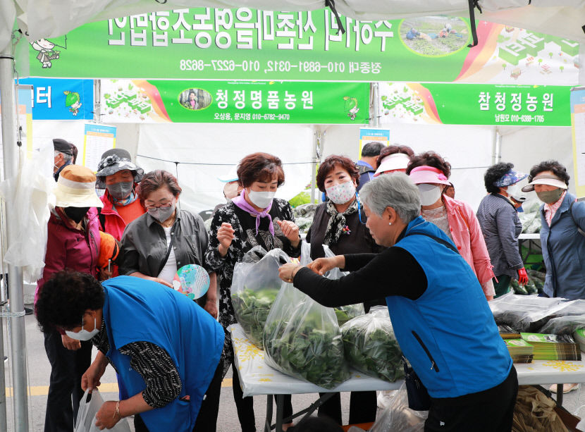 제18회 영양산나물축제 대성황···경제효과 50억원