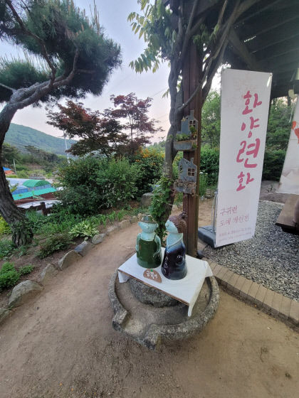 [동네뉴스] 귀촌한 70세 할머니의 첫 번째 도예전 화양련화