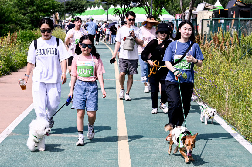 [포토뉴스] 제1회 Pet동행페스티벌 대구 북구 금호강 둔치에서 열려