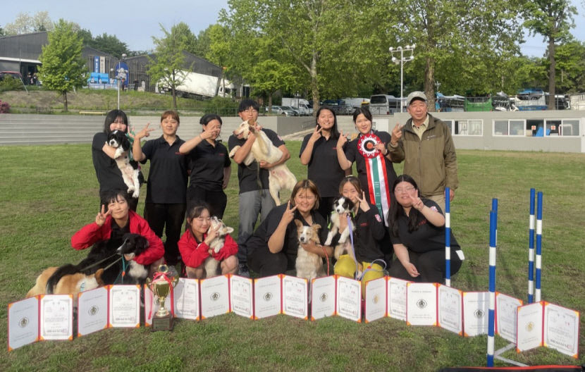 계명문화대, 애견협회 대회 12개상 수상…훈련견과 환상의 호흡 보여줬다