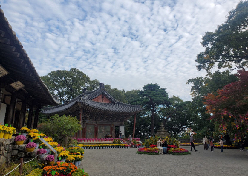 아도화상 숨결서린 해동 첫 가람, 구미시 해평면 도리사