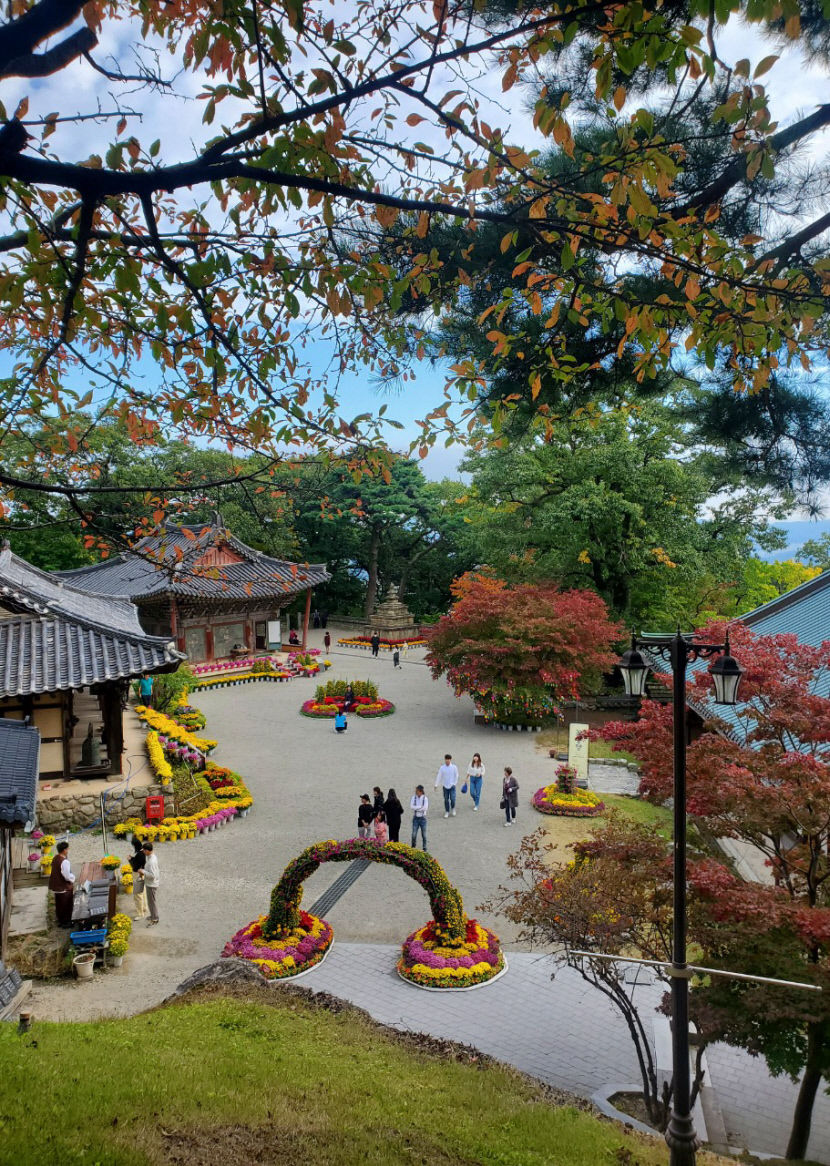 아도화상 숨결서린 해동 첫 가람, 구미시 해평면 도리사