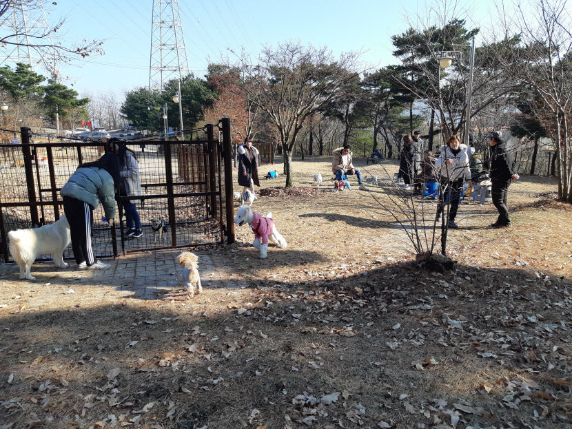 포항댕댕동산