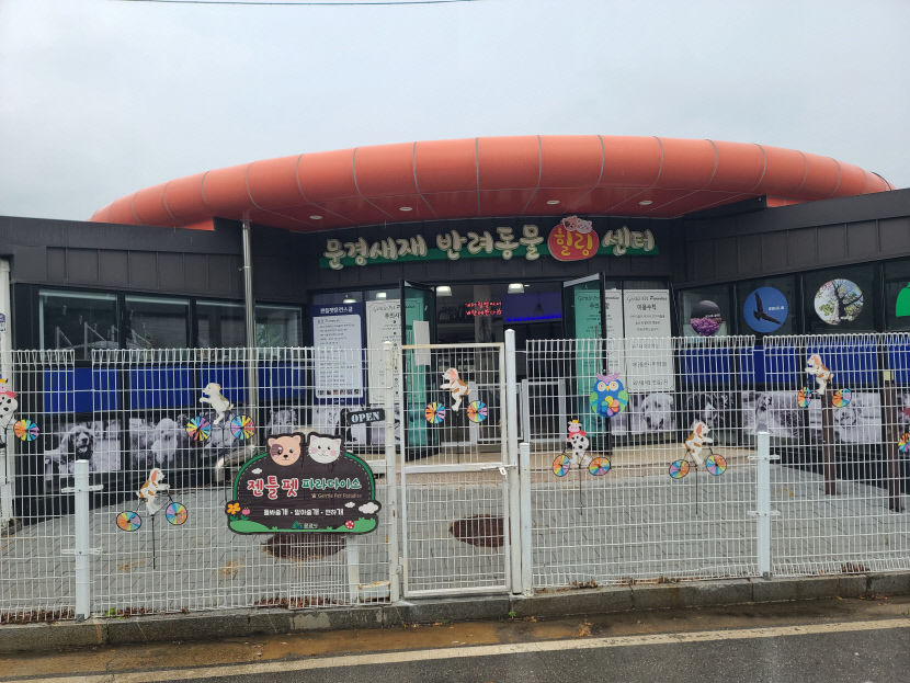반려동물과 해수욕 즐기고 콘서트도 즐기고 싶다면?  경북으로 오세요