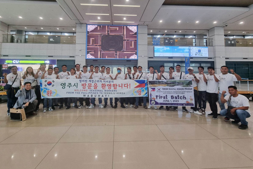 영주 지역 담배 농가, 외국인 계절 근로자 전담… 인력난 해소