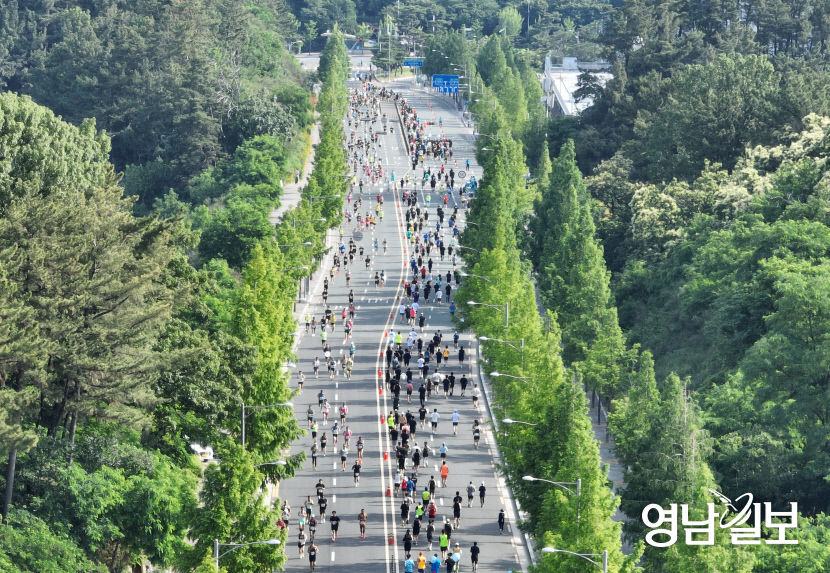 [포토뉴스] 대구 야구전설로 달리는 영남일보 마라톤 참가자들