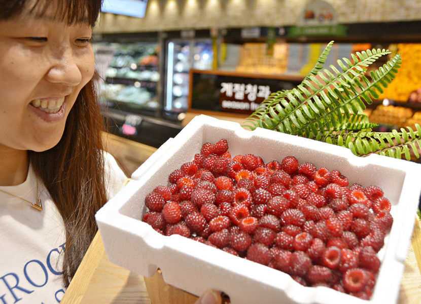 [포토] 제철 산딸기 군침 도네