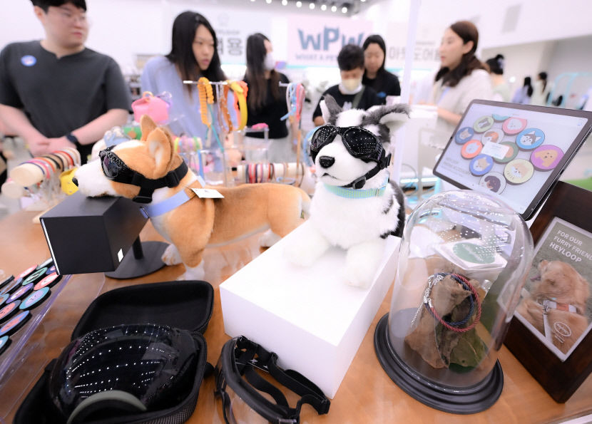 [포토뉴스] 활기 넘치는 대구 펫쇼 현장