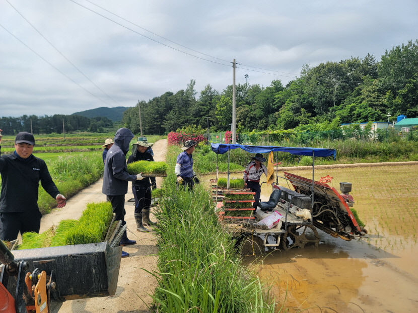 청하면