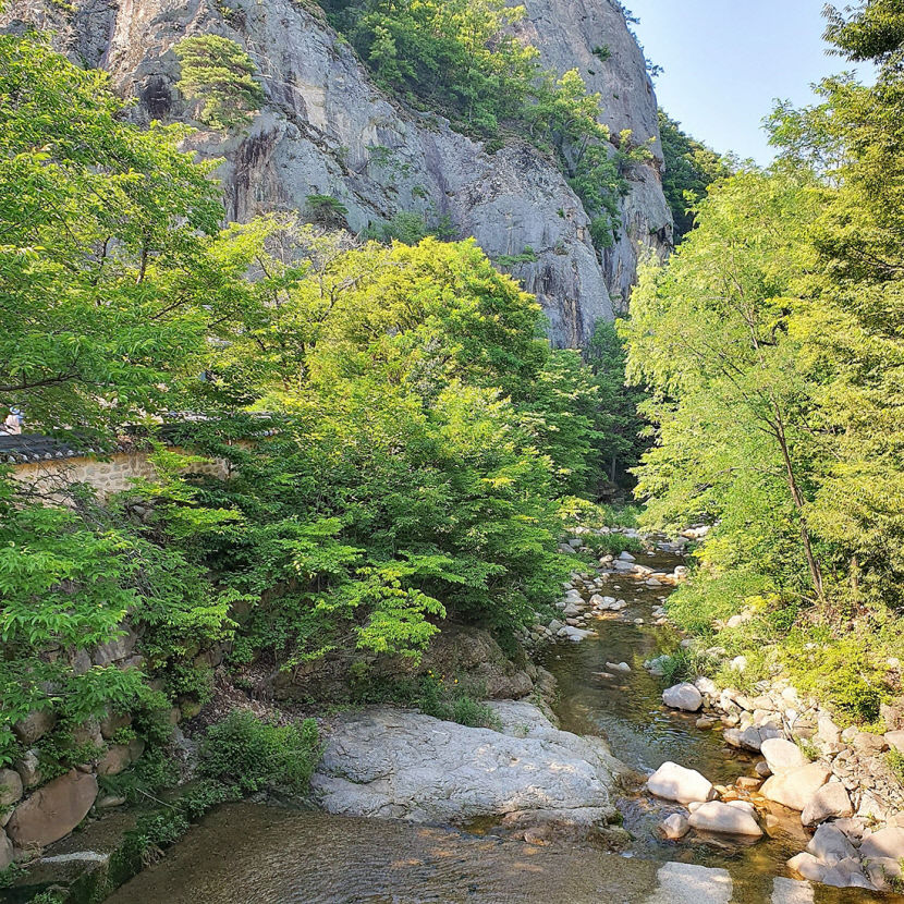 7월부터 대구 편입 군위의 여름 여행지…경이로운 풍광에 넋을 잃고 싱그러운 바람에 더위 잊고