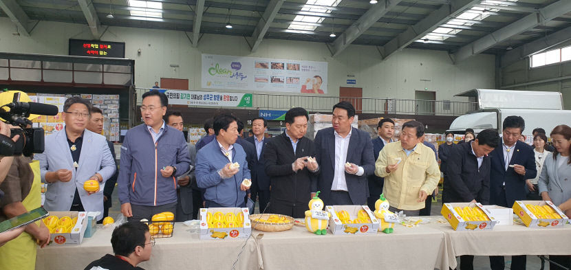 성주참외 시식 김기현 野 사드괴담으로 군민 고통