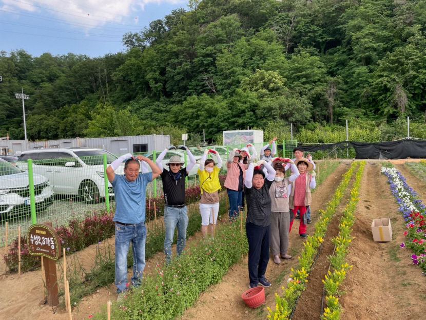 [동네뉴스] 대구 수성 어린이 공원 늘벗정원을 가꾸는 꽃아지매들