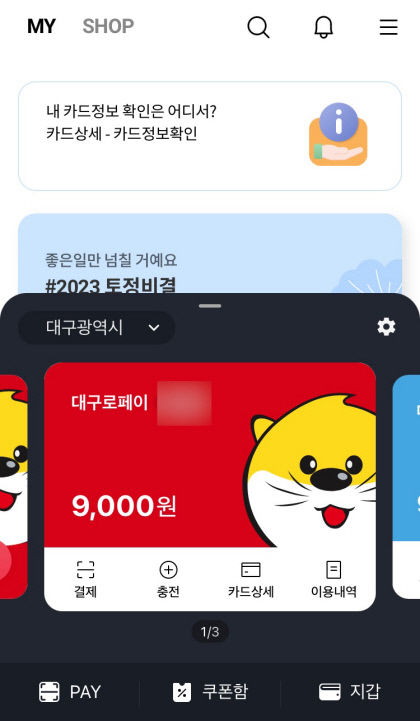 [단독] 대구로페이 출발부터 삐걱…QR코드 결제 안돼요