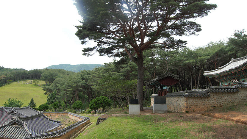 [주말&여행] 경북 포항 기계면 봉계리 봉강재