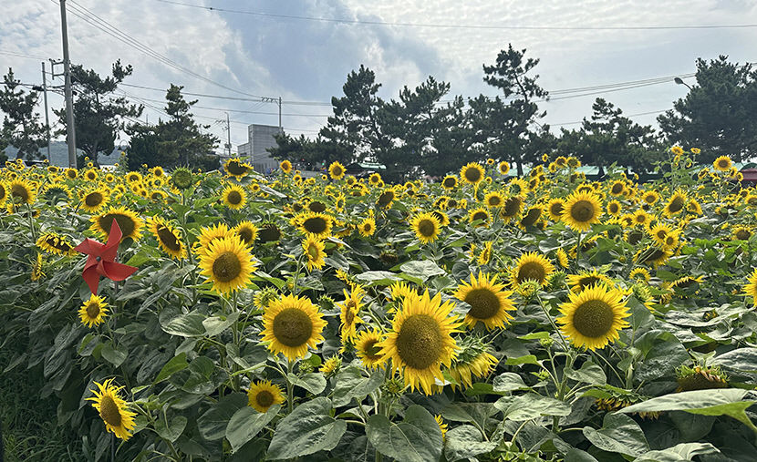 KakaoTalk_20230711_162949323