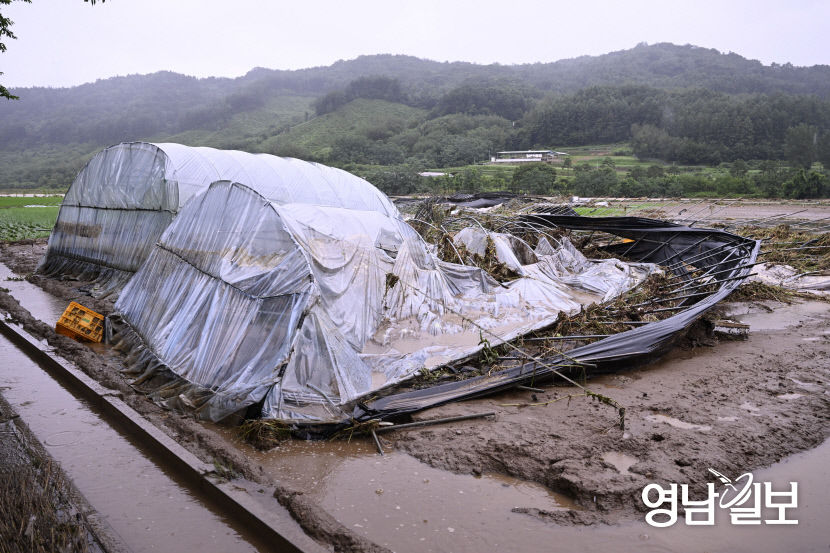 [포토뉴스] 붕괴된 예천군 용문면 시설하우스